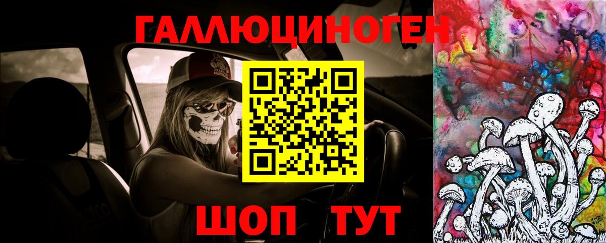 Черняховск  Галлюциногенные грибы мицелий  Вход с VPN 